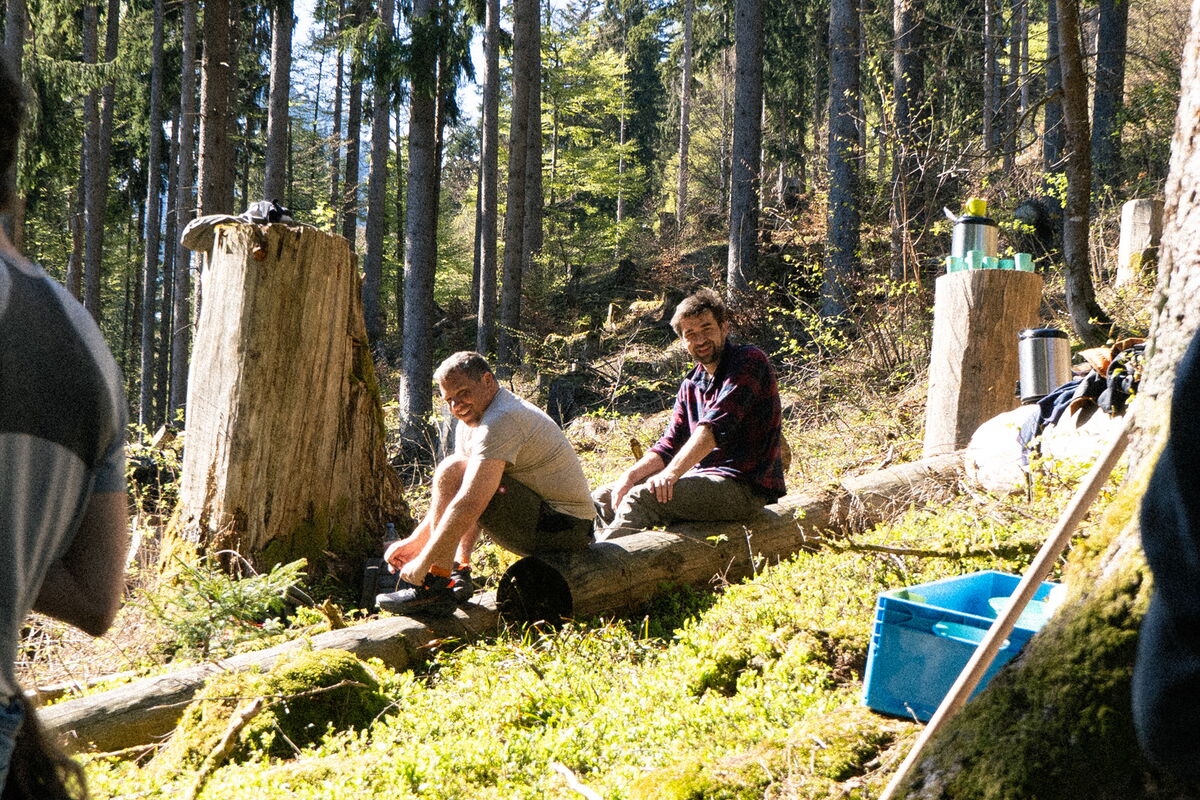 We keep our promises: 200 birch trees planted with klimaglarus